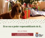Campaña navideña de la RFEC para fomentar la tenencia responsable de perros